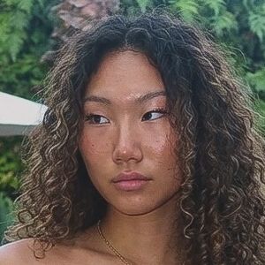Phoenixalba_
